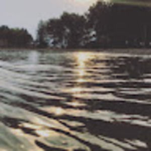 Meet your Posher, Renae